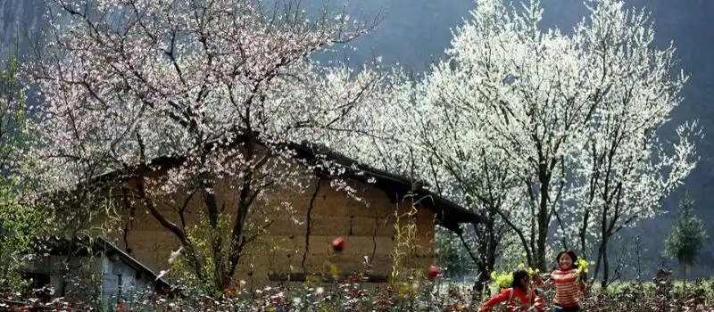 Guide complet pour voyage à Dien Bien