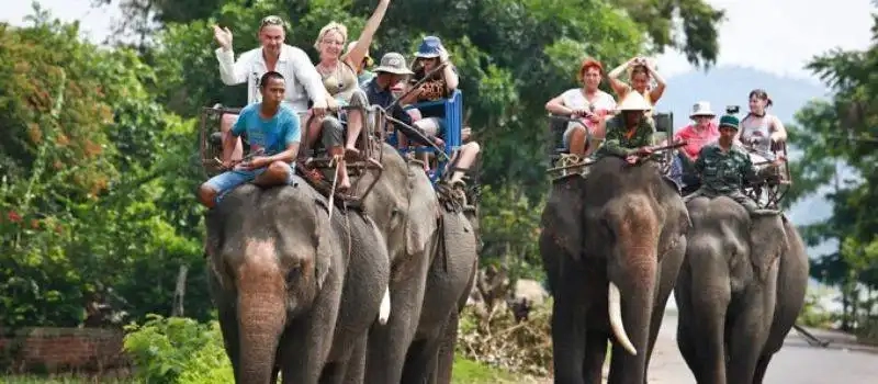 Guide francophone Buon Me Thuot Vietnam