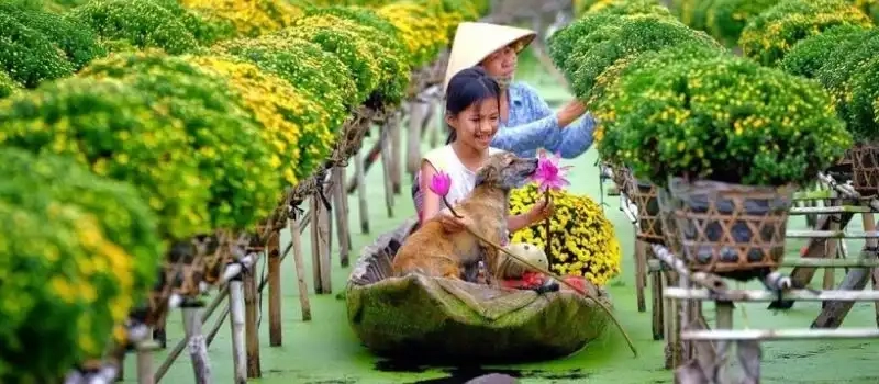 Guide francophone Sa Dec Dong Thap vietnam