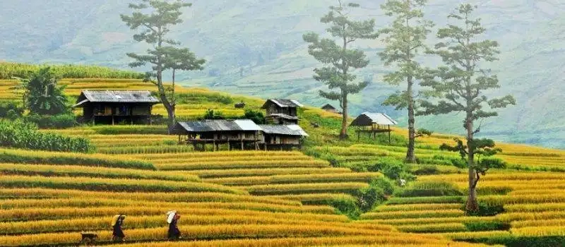 Guide francophone Tu Le Mu Cang Chai Nghia Lo