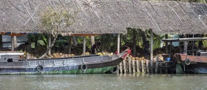 Guide francophone vung liem vinh long vietnam