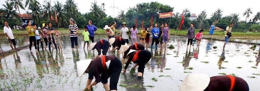 La Fête de descente aux champs agence de voyage au vietnam