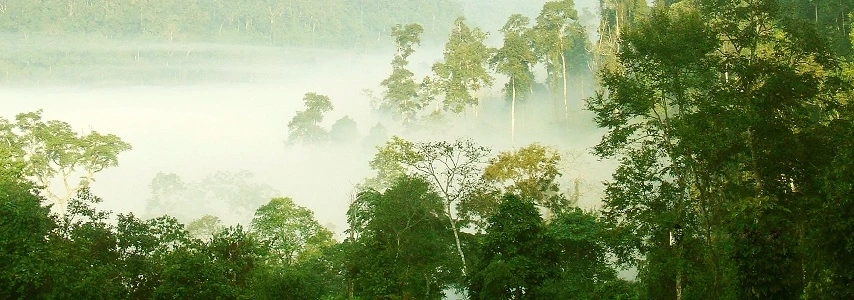 La grotte et la forêt Xuan Son agence de voyage au vietnam