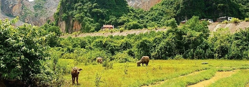 La montagne Man quang ninh agence de voyage au vietnam