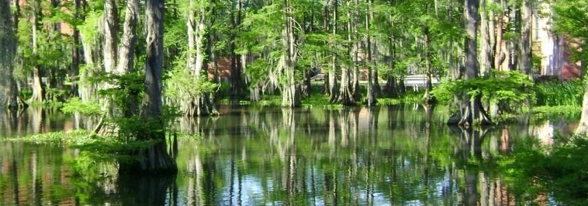 La réserve nationale de Binh Chau agence de voyage