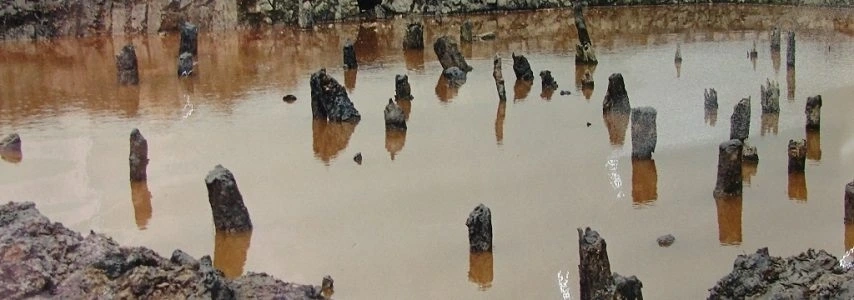 Le champ de pieux de Bach Dang agence de voyage au vietnam