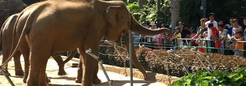 Le jardin botanique et zoologique agence de voyage 