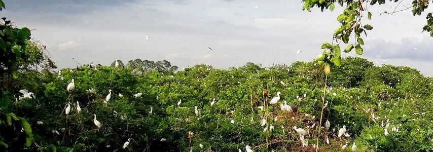 Le jardin touristique Bang Lang Cân Tho agence de voyage