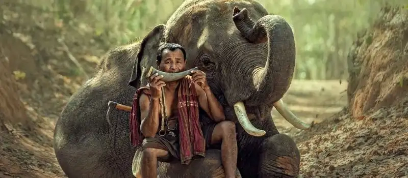 Les plus belles zones protégées à ne pas manquer au Laos