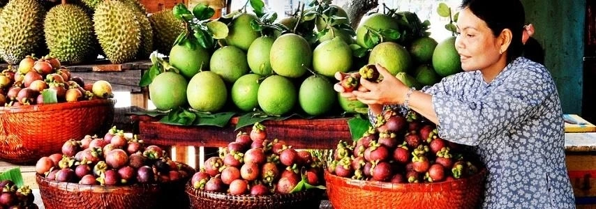 Les vergers de Lai Thieu agence de voyage au vietnam