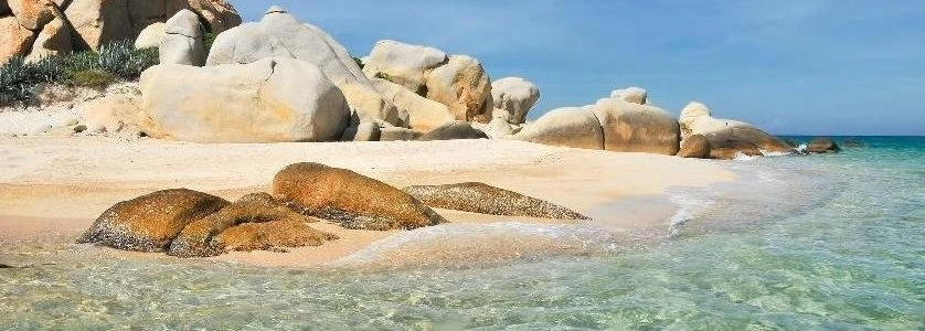 L’ile de la Baleine agence de voyage au vietnam