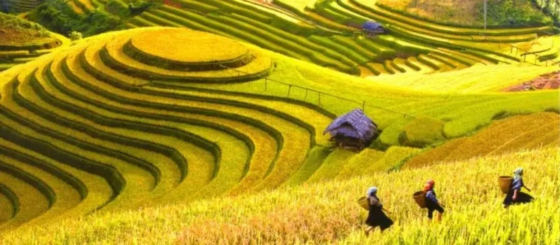 Meilleures attractions touristiques à visiter lors du voyage à Mai Chau