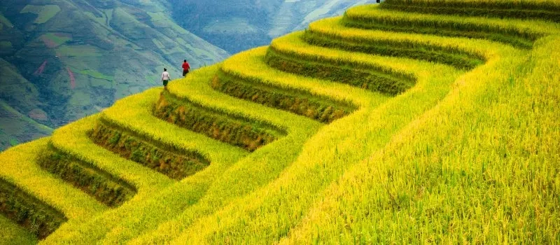 Meilleures destinations naturelles et sauvages | Voyage nature au Vietnam