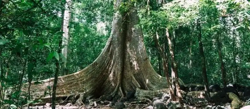Meilleurs endroits naturels à visiter au Vietnam
