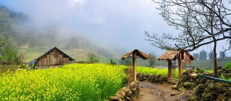 Meilleurs Sapa en 3 jours | Circuit au Vietnam hors des sentiers battus