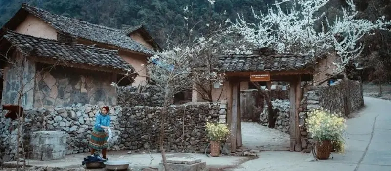 Météo de Ha Giang en janvier 2024 | Que voir au Vietnam