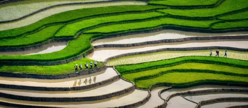 Mu Cang Chai: Spectacle de la saison de coulée d'eau | Voyage au Vietnam
