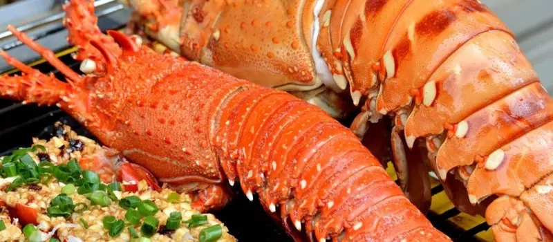 Nourriture fantastique à manger dans la baie Halong | Voyage au Vietnam