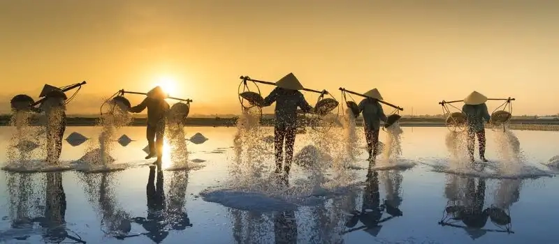 Optez pour notre agence pour organiser un voyage au Vietnam sur mesure