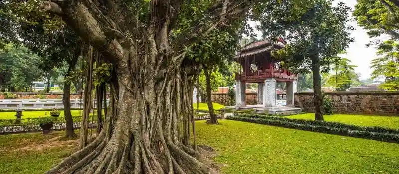 Où est situé le Temple de la Littérature Hanoi? Comment s'y rendre?
