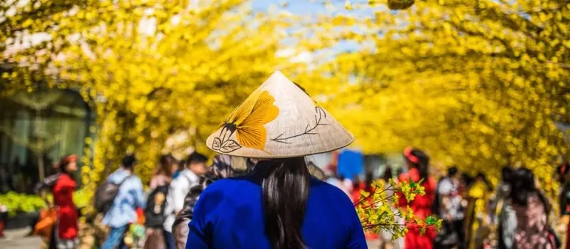 Où partir au Vietnam au printemps? | Voyage sur mesure au Vietnam