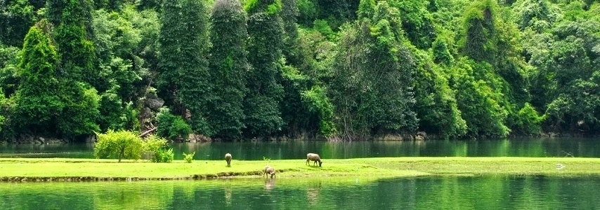 Parc national de Ba Be agence de voyage locale francophone au vietnam