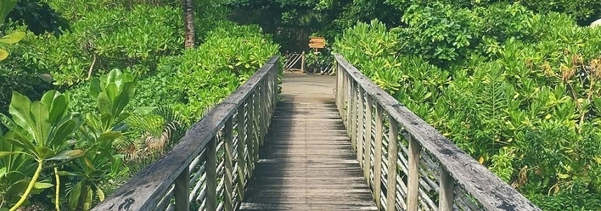 parc national de Con Dao agence de voyage au vietnam 