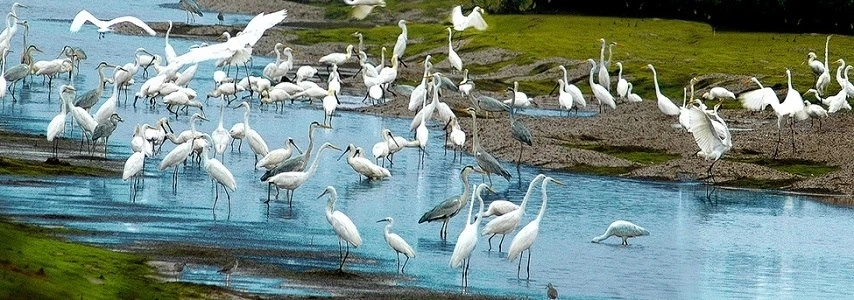 Parc national Xuân Thuy agence de voyage au vietnam