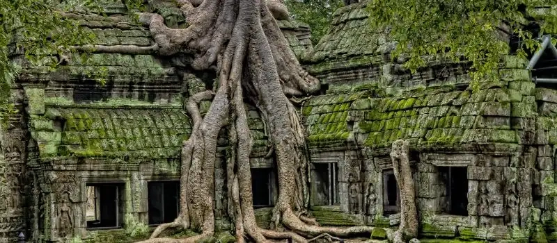 Pourquoi choisir le Cambodge? Bonnes raisons de visiter le Cambodge