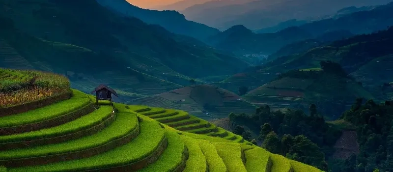 Pourquoi choisir un voyage au Vietnam, Laos et Cambodge sur mesure