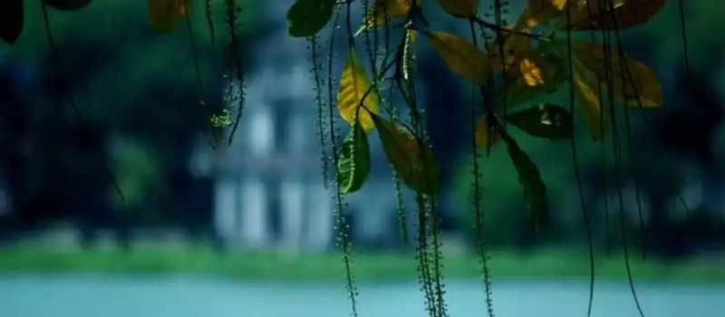 Quand partir au Vietnam Nord? Meilleures périodes pour circuit Vietnam