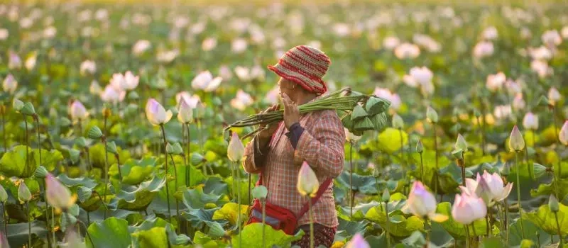 Quand partir en voyage au Vietnam Cambodge et Laos le moins cher?