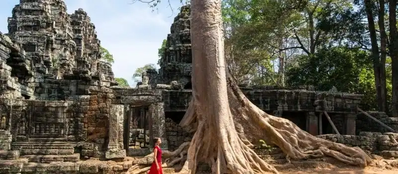 Que voir et que faire dans le Voyage au Cambodge Vietnam avec Agence locale