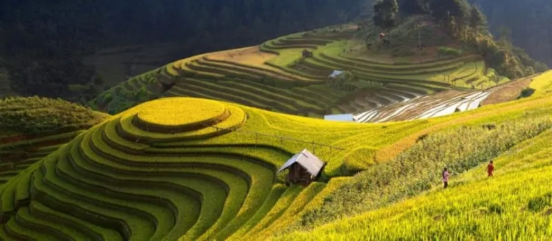 Région nord-ouest - Retraite sauvage et charmante | Circuit au Vietnam