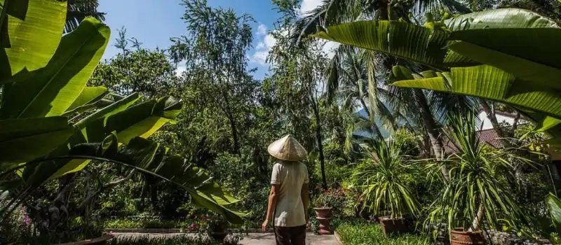 Temps, météo, climat du Vietnam | Voyage au Vietnam