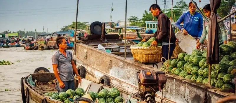 Top 10 endroits à visiter au Sud-Vietnam | Voyage à Saigon