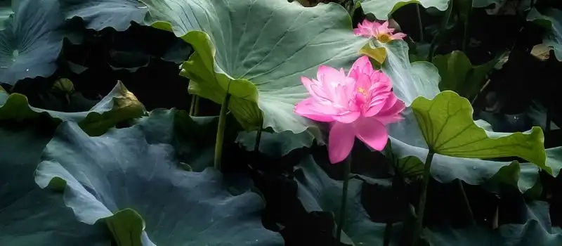 3 images emblématiques du Vietnam