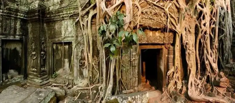 Top meilleures choses à faire pour voyage au Cambodge Agence voyage locale