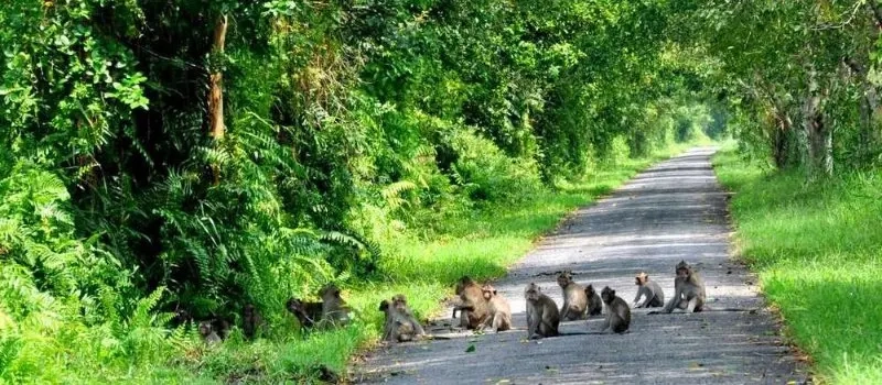 Trekking au parc national Phu Quoc | Agence de voyage locale au Vietnam