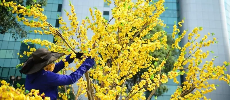 Visite Saigon en janvier (printemps) | Voyage sur mesure au Vietnam