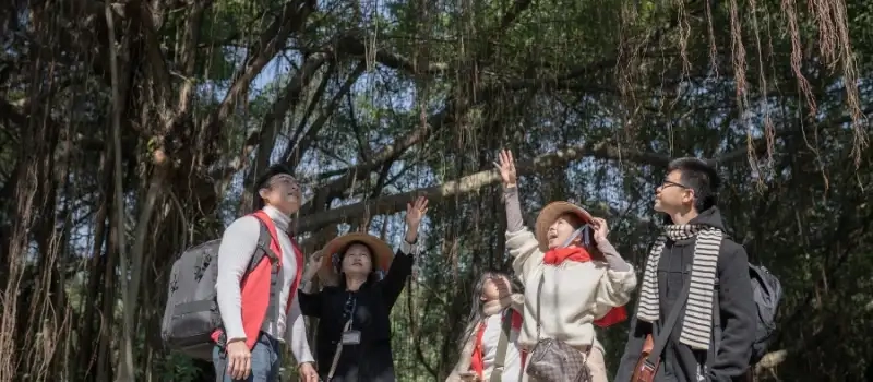 Visites guidées au Vietnam: Immersion authentique dans la vie locale