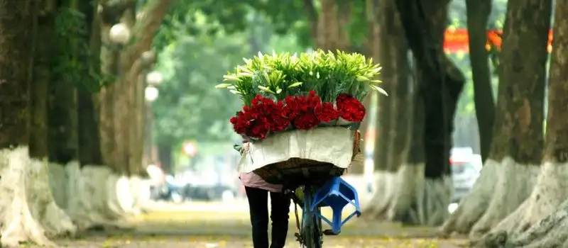 Voyage au Vietnam en septembre: Conseils, météo et plus