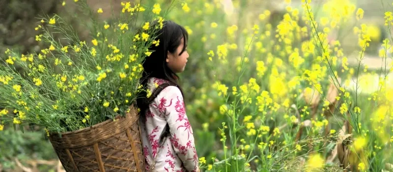 Voyage au Vietnam - Pays que l’on croit connaître… mais qui surprend toujours