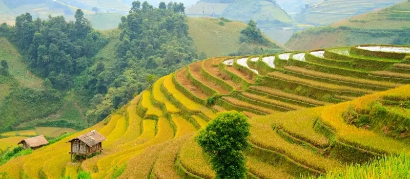 Voyage en petit groupe au Vietnam: pour qui, pourquoi, comment?