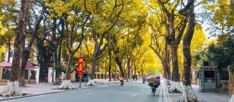 Voyage Hanoi: Découverte de la magie de l'automne dans la ville