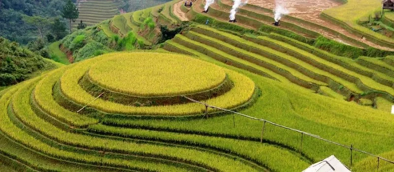 Voyage Mu Cang Chai: Itinéraire 3 jours au cœur des rizières en terrasses