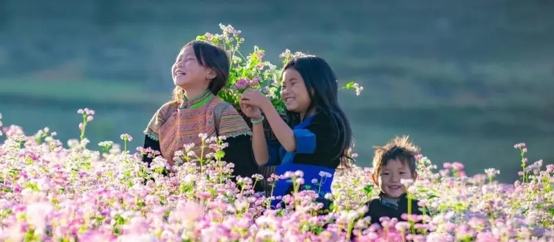 Voyage pour le Vietnam: Budget, coût de la vie et astuces d’économie