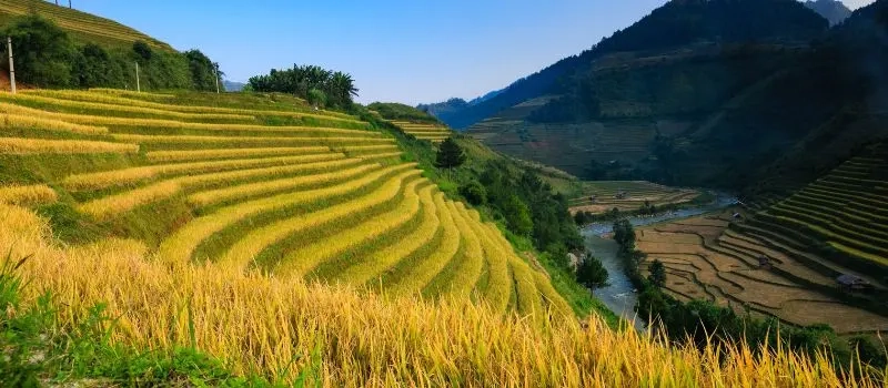 Voyager avec un Guide francophone au Vietnam pour visiter Hoang Su Phi