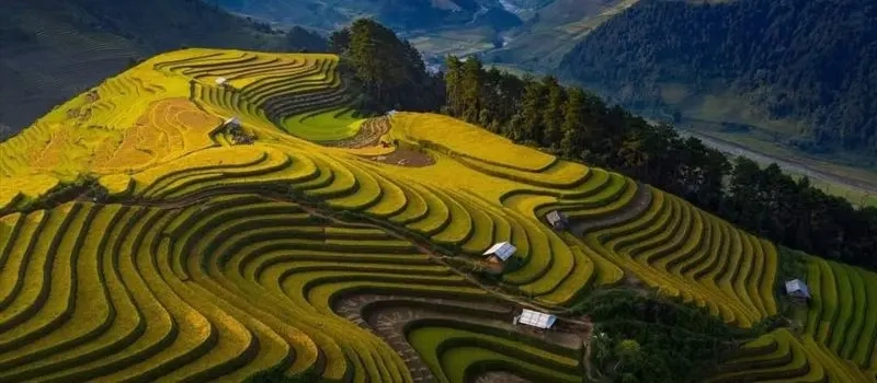 Voyager avec un Guide francophone au Vietnam pour visiter Mu Cang Chai