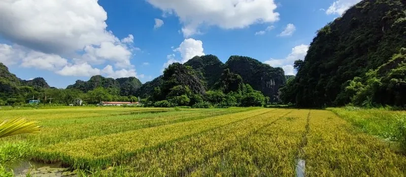 Voyager avec un Guide francophone au Vietnam pour visiter Ninh Binh